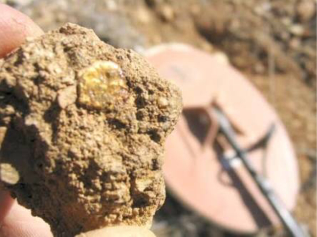 John Lhotsky travelled the Monoro District of NSW and he had collected specimens that had contained gold