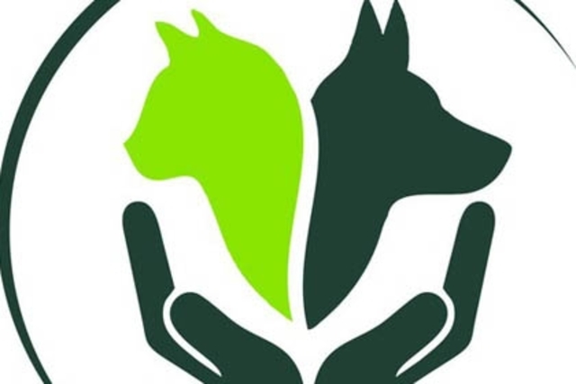 Всемирный день животных