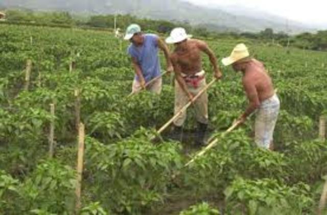 Redistribuir la tierra, primer paso para erradicar el hambre