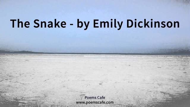 "THE SNAKE" EMILY DICKINSON