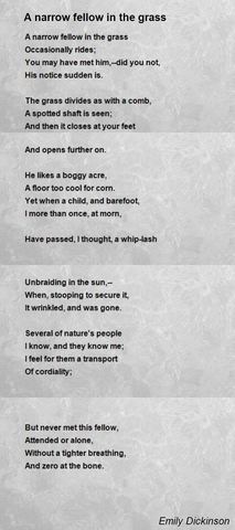 "Snake" Emily Dickinson