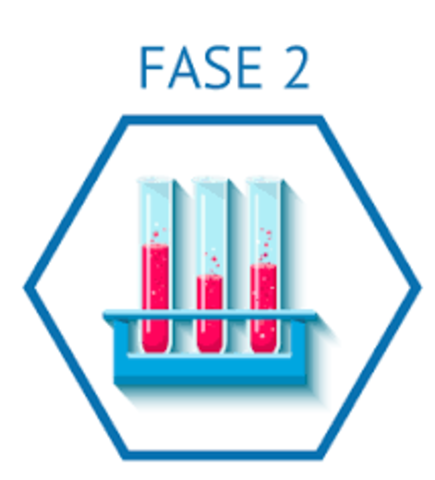 SEGUNDA FASE (ENSAYO CLÍNICO)