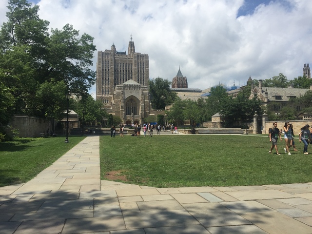 erikson acepto un puesto de catedratico en yale