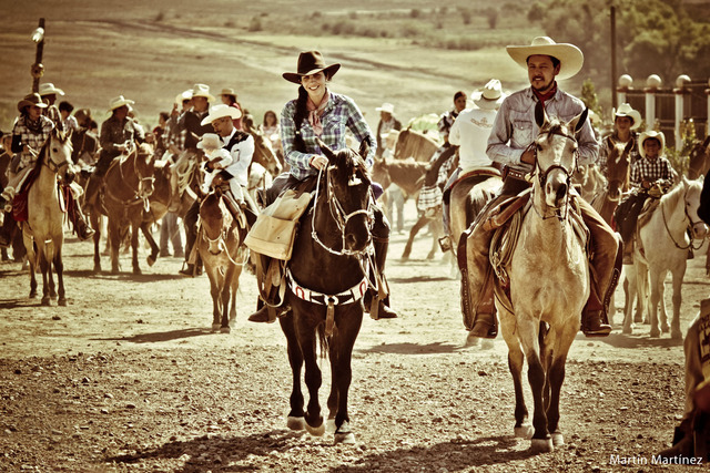 ANIMALES COMO MEDIO DE TRANSPORTE