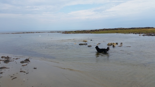 Finally! Moved back home to NH seacoast!