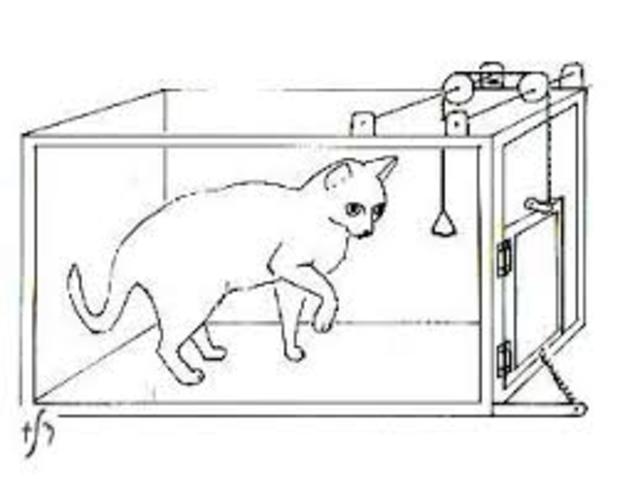 Edward Thorndike - El Conexionismo