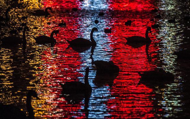 Experimentos de teorias ondulatoria y corpuscular