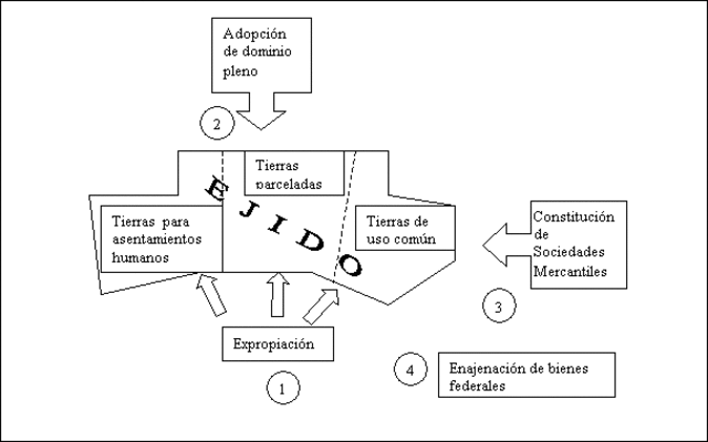 Nuevas formas de incorporación de suelo social