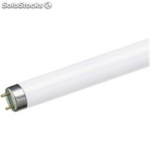 LUMINARIA FLUORESCENTE