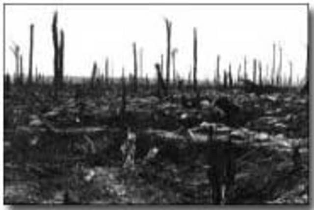 Third Battle of Ypres