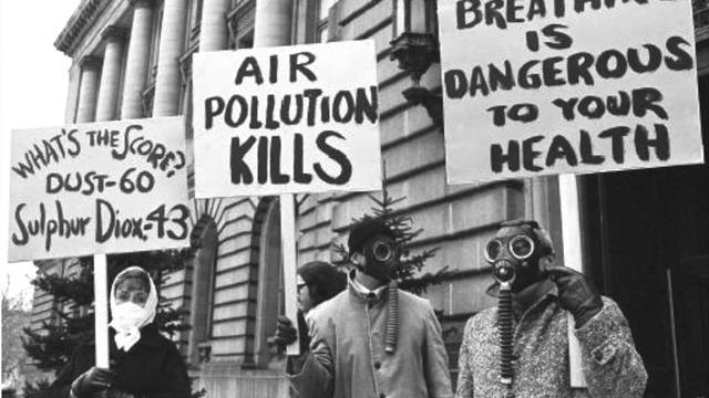 The Environmental Movement