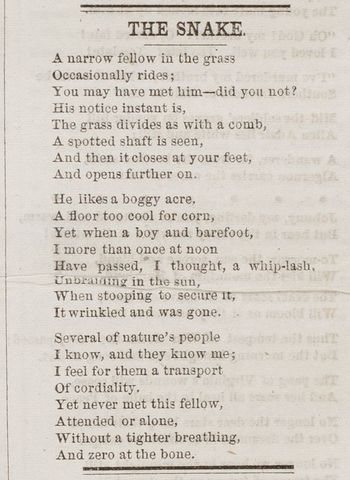 "The Snake" Emily Dickinson