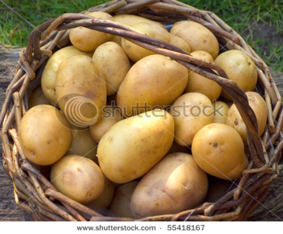 Irish Potatoe famine