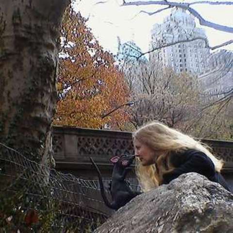 began her writing career