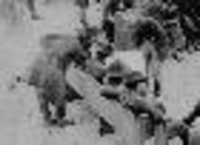 Grant Advances Towards Lee