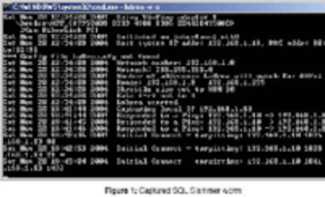 Sasser y Netsky, el gran golpe del niño genio
