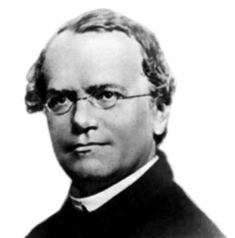 Gregor Mendel.