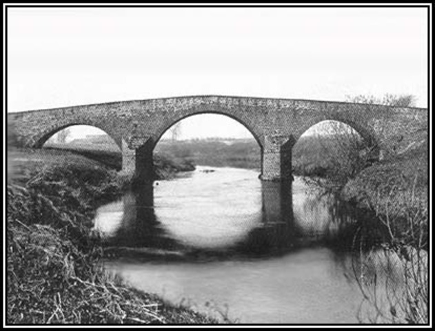 The New Ways to Move