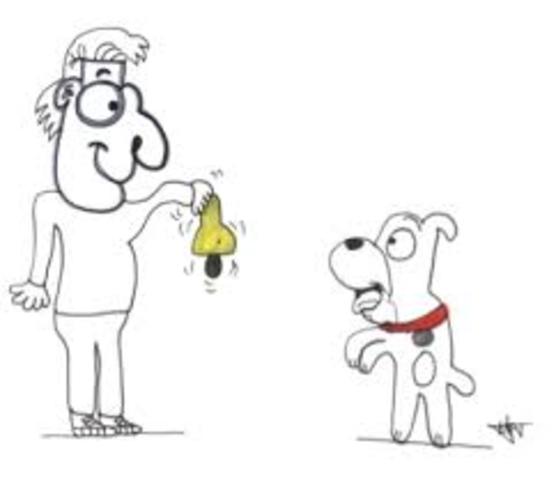 Modelo conductual. Pavlov. Condicionamiento clásico