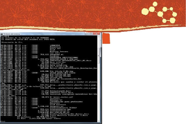 1990 "Quinta Generación"