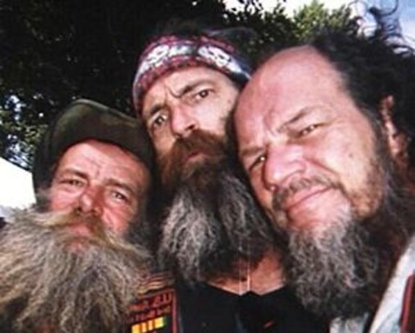 Try to collect taxes