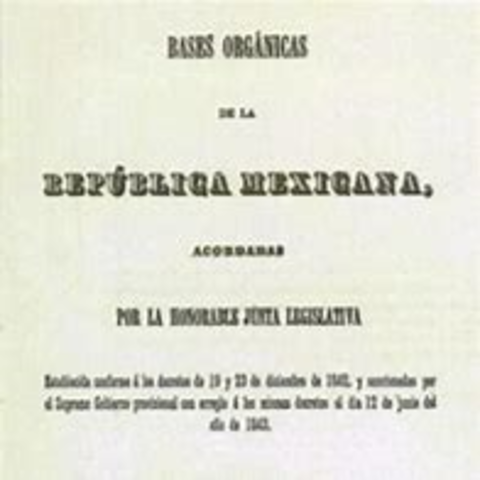 Bases Orgánicas
