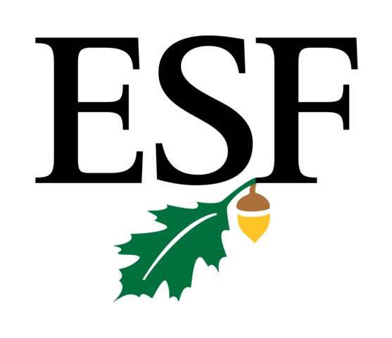 I went to kindergarden