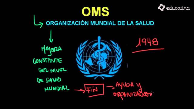ESTRUCTURA DE LA OMS
