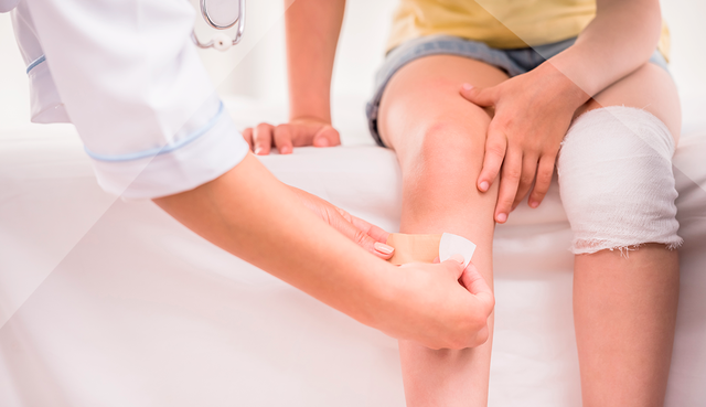 L'Alba mostra els seus dons