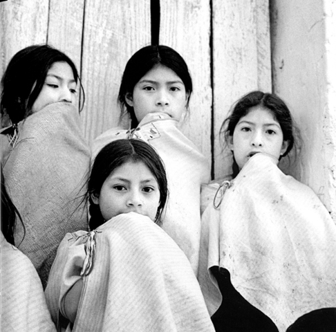 Constitución Pluricultural