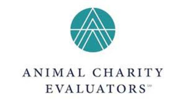 Reconocimiento dentro del mundo animal