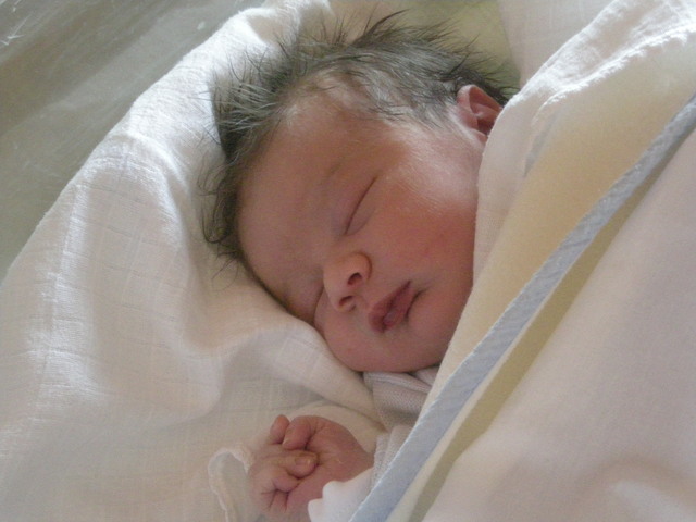 la storia di Federico