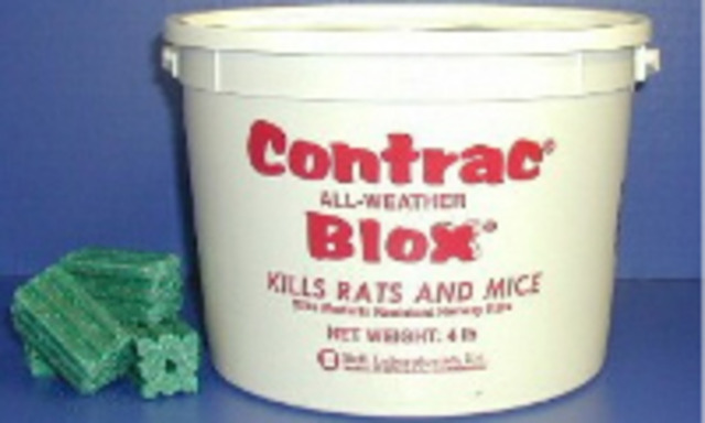 emily went to the drugest