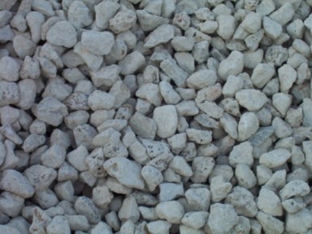 puts lime around the house