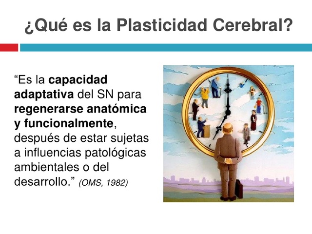 Plasticidad cerebral