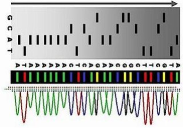 Método de secuenciación del ADN