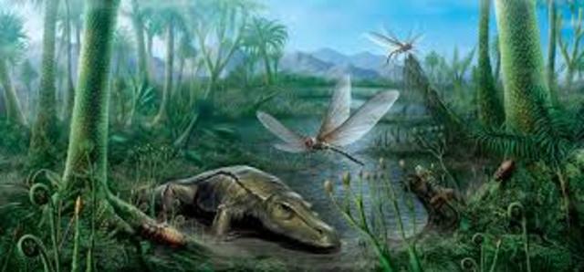 Periodos de la era Paleozoica: Carbonífero