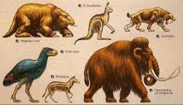 Periodos de la era Cenozoica: CUATERNARIA