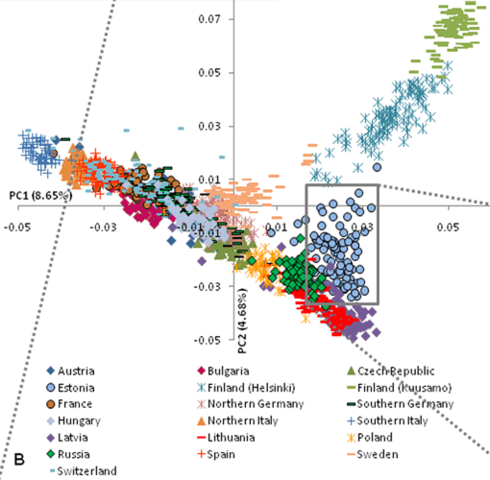 Southern Europeans ( Italians, Portugese,Greek )