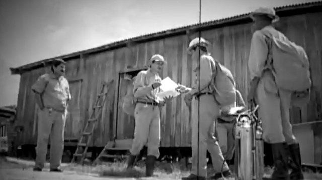 Surge o Departamento Nacional de Endemias Rurais