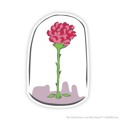 On apprendre tout à prospos du petit prince