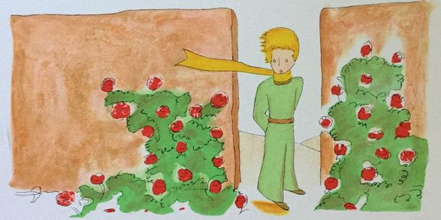 Le petit prince visite la terre