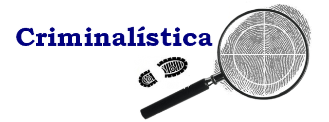 El Final De Mi Carrera De Criminalistica