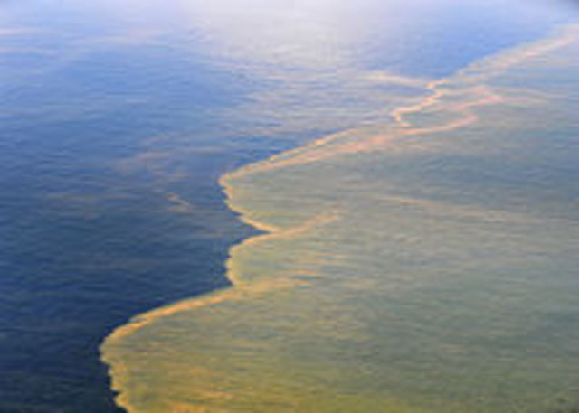 Deepwater Horizon Oil Spill