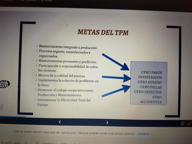 METAS DEL TPM