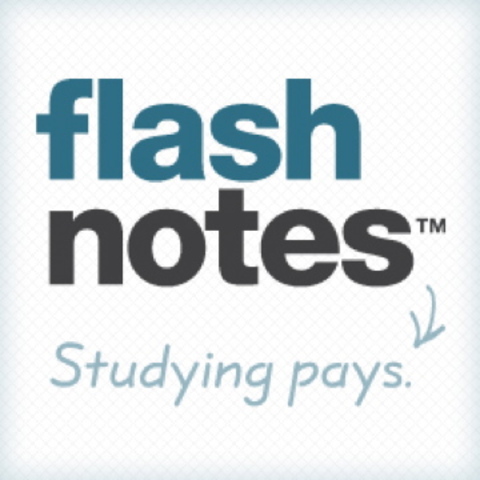 Flashnotes