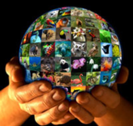 Convention on International Trade in Endangered Species