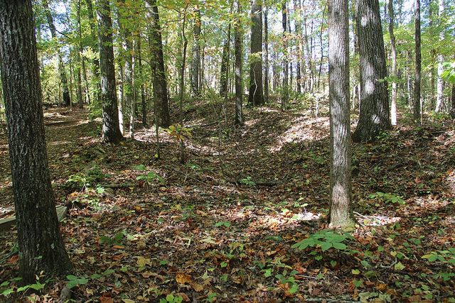 Battle of Picketts Mill