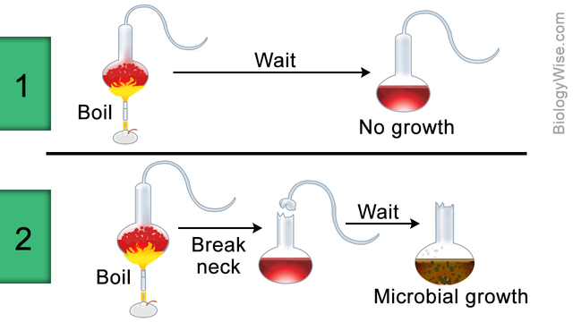 experiment de Pasteur
