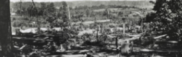 Battle of Peachtree Creek